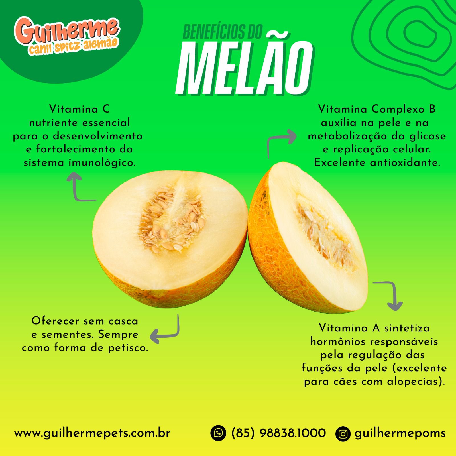 Imagem do WhatsApp de 2025-01-22 à(s) 16.01.51_8a2f49c5