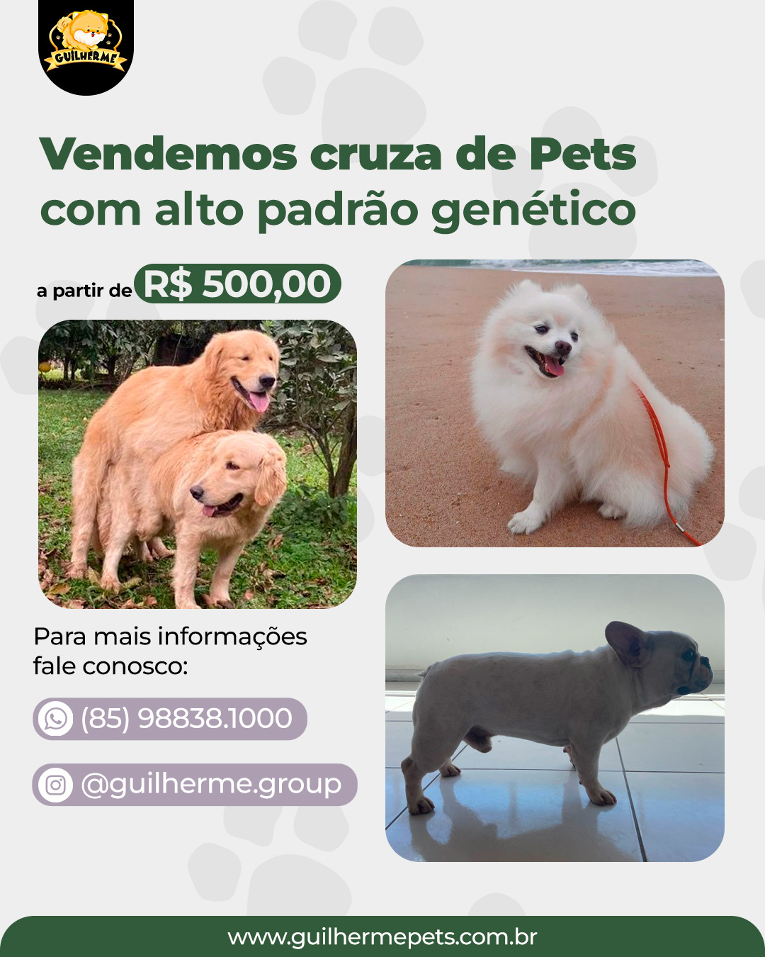 CRUZA DE PETS