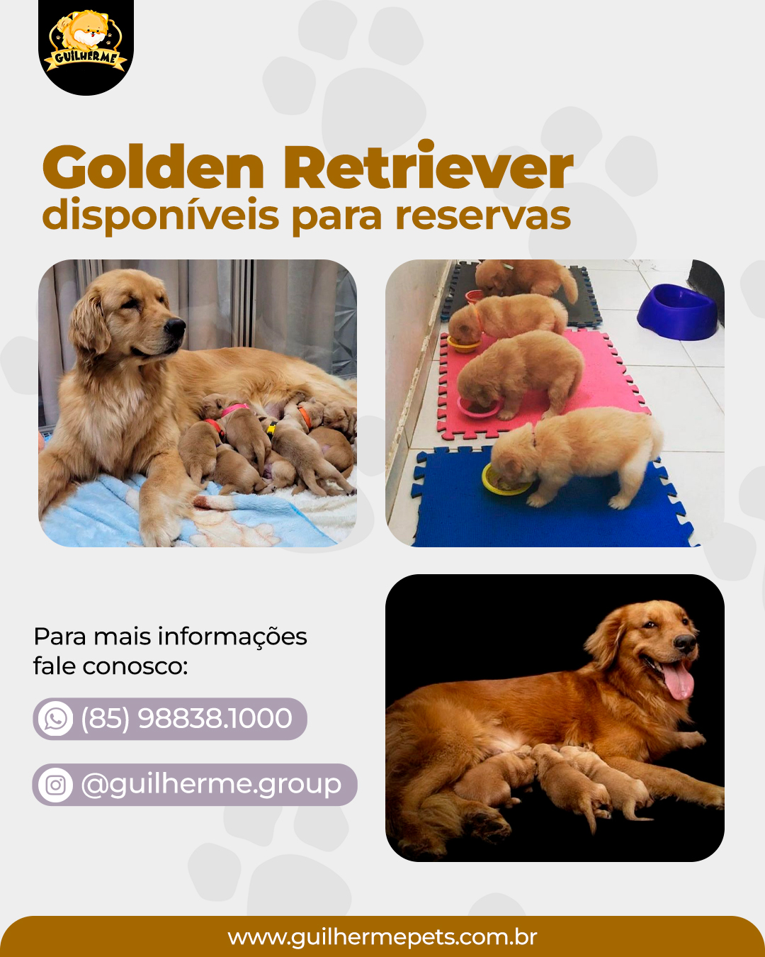 GOLDEN