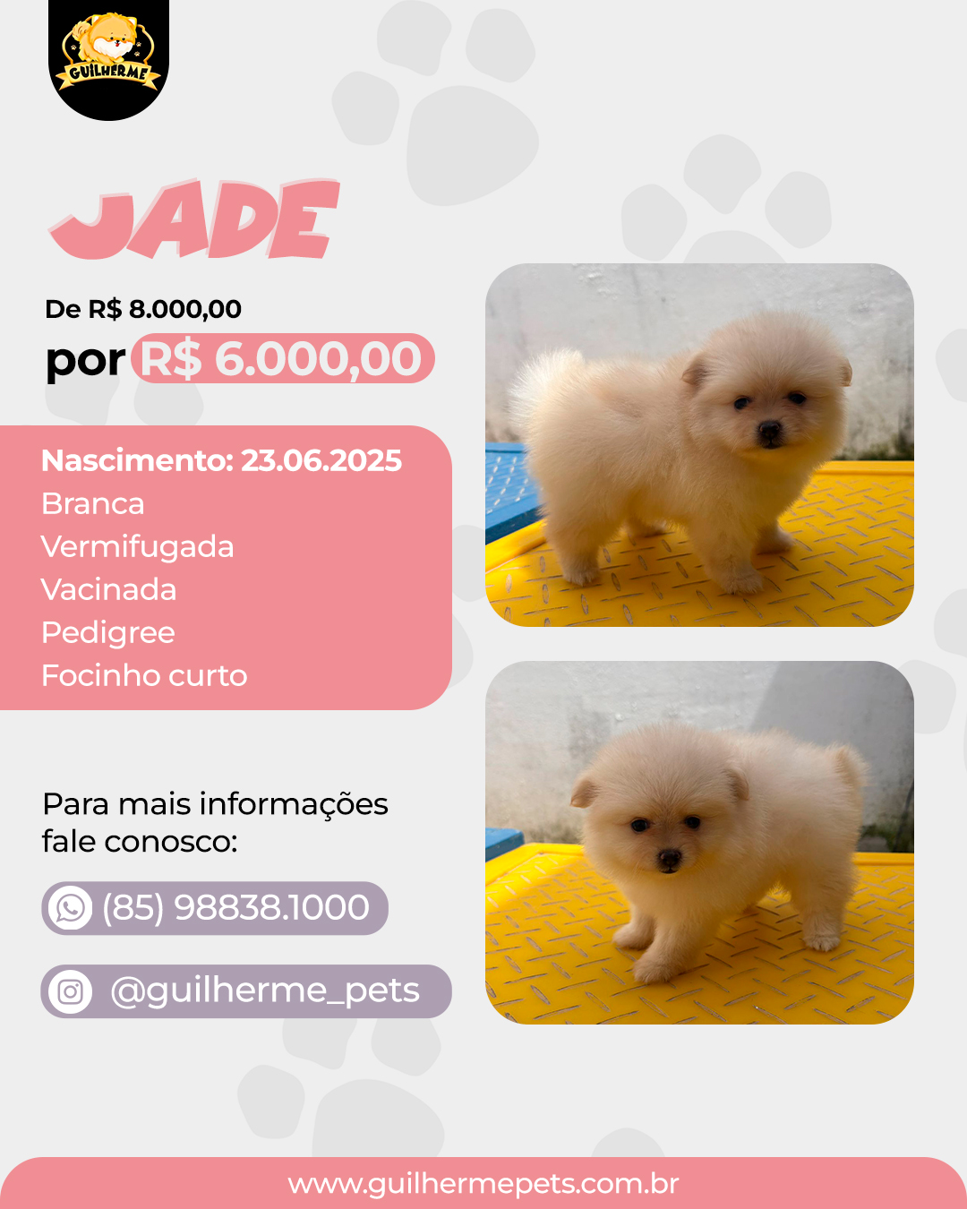 JADE