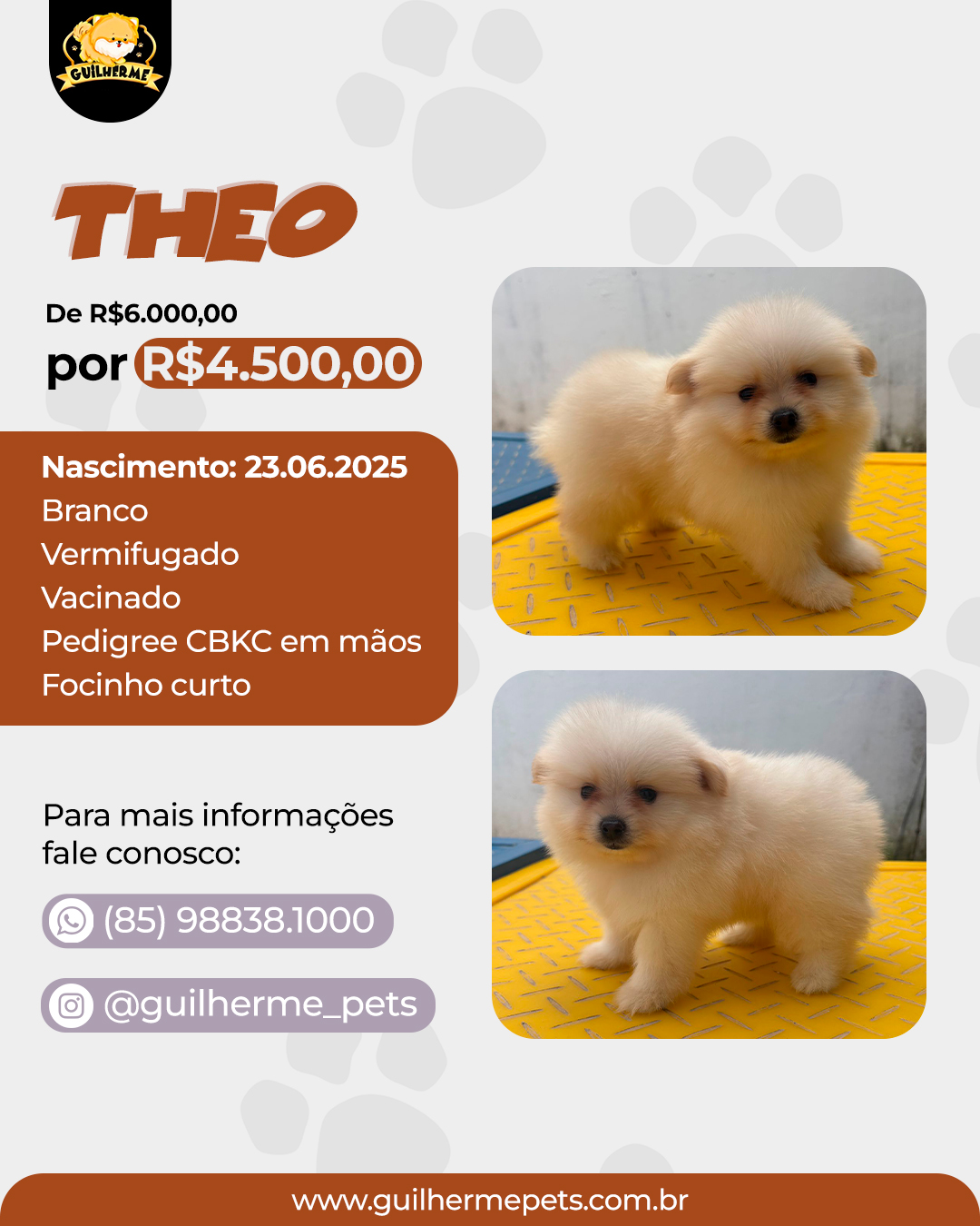 THEO