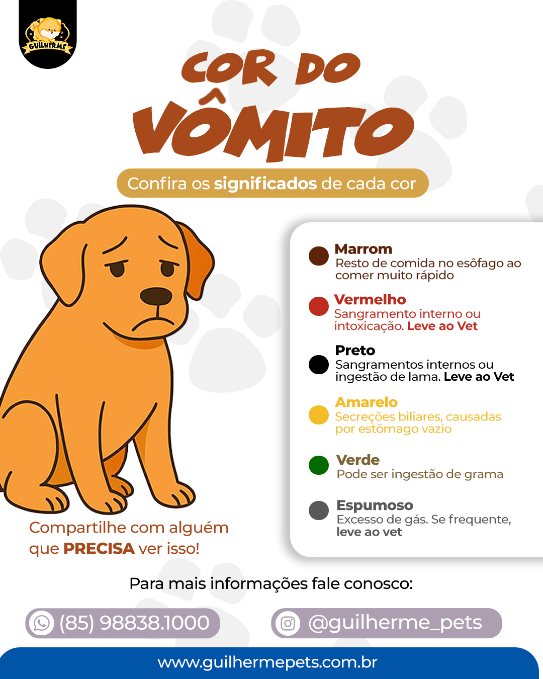 Vomito do cachorro