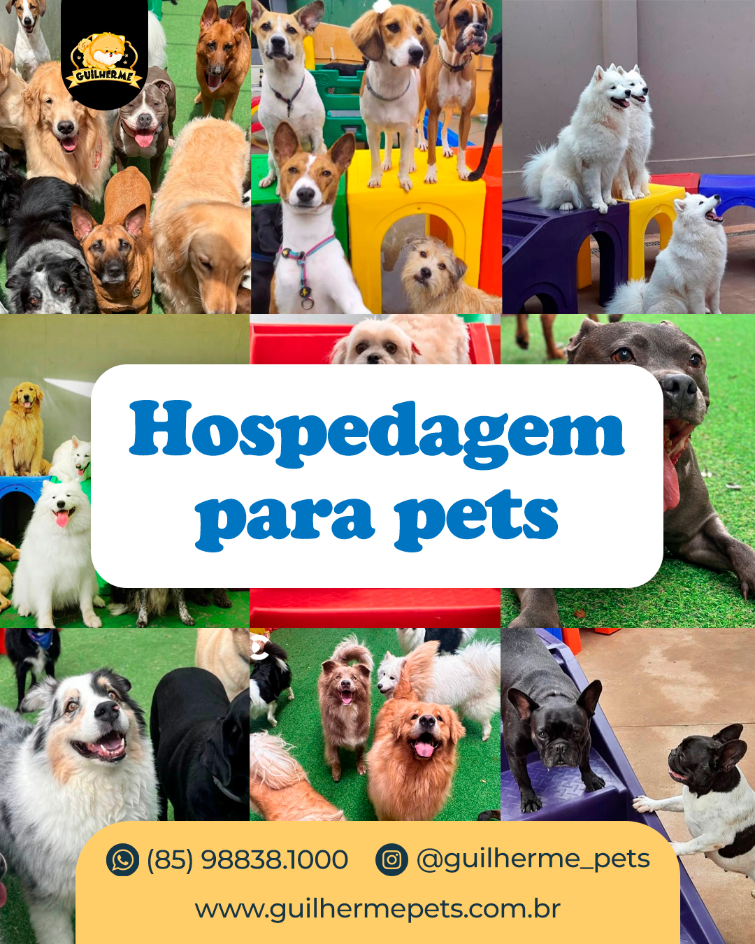 HOSPEDAGEM PARA PETS